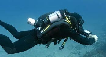 揭秘《藍色星球2》中的無氣泡潛水設備 科技與自然的完美融合