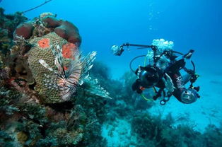 潛水設(shè)備 憑實力單身的“硬核”浪漫與邏輯分析