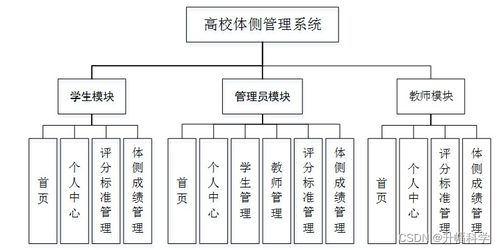 SSM高校體質(zhì)測試管理系統(tǒng)（DP69W） 應(yīng)對計算機(jī)畢業(yè)設(shè)計困難的解決方案